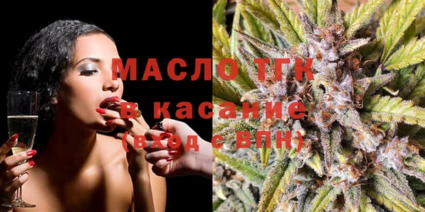 молекула духа Богородицк
