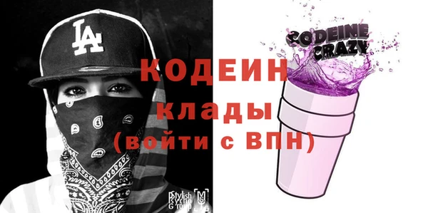 молекула духа Богородицк