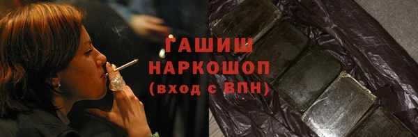 дмт Бородино