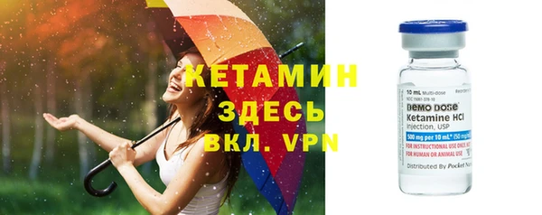 молекула духа Богородицк
