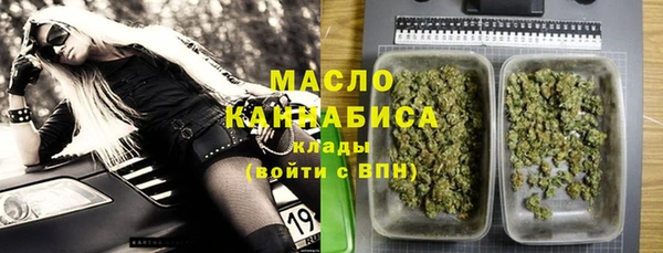 дмт Бородино