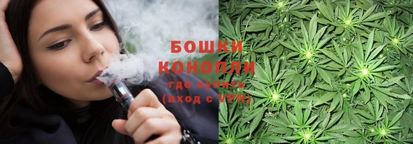 молекула духа Богородицк