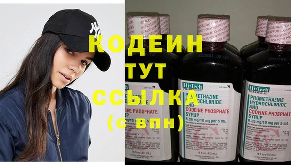 дмт Бородино